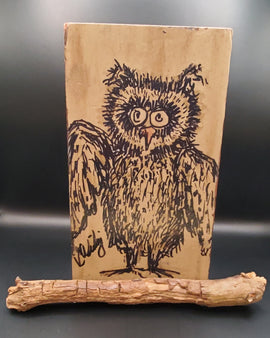 owl on a Branch